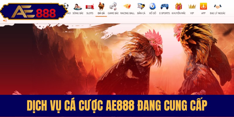 Dịch vụ giải trí đỉnh cao AE888
